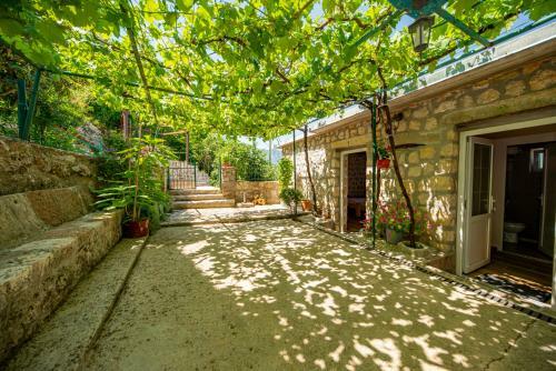 Bed & Breakfast Ethno House Osobak