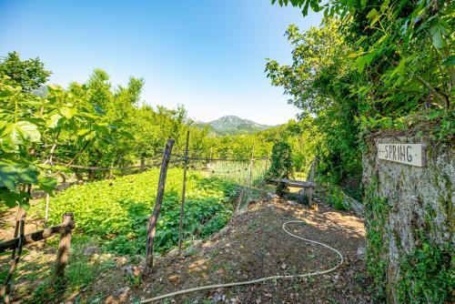 Bed & Breakfast Ethno House Osobak