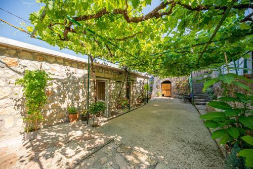 Bed & Breakfast Ethno House Osobak