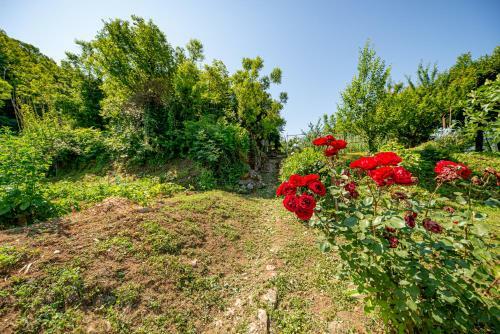 Bed & Breakfast Ethno House Osobak