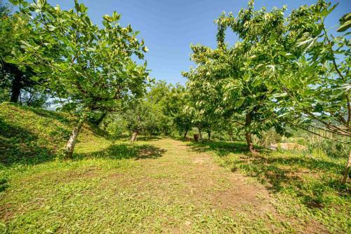 Bed & Breakfast Ethno House Osobak