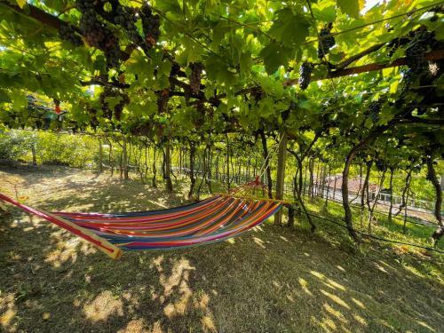 Apartamento Prevalis Nature Cottage