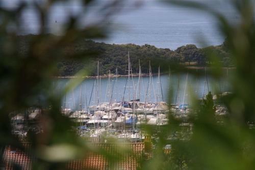 Guest House Galeb