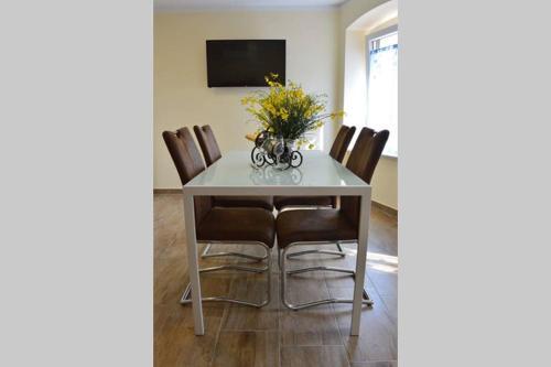 Old Town Apartment Popovic