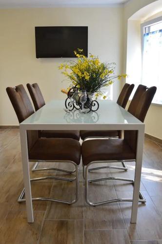 Old Town Apartment Popovic