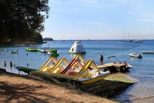 Apartments With Wifi Vrsar, Porec - 7044