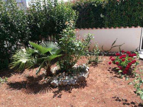 Apartamento Ferienhaus Bozena Appartment 2