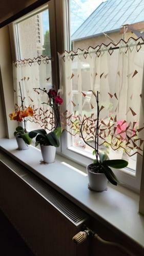 Apartamento Keresztes Lak