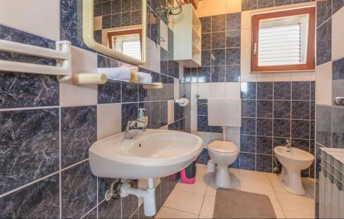 Apartamento ?u?ini Dvori