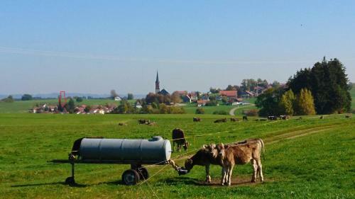 Apartamento Fewo-kapellenweg-kimratshofen