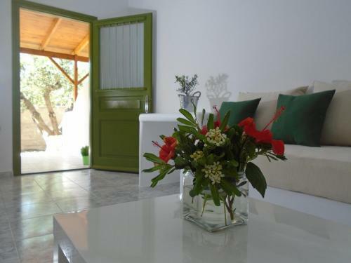 Leros Eleonas Apartments