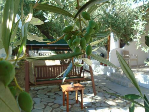 Leros Eleonas Apartments