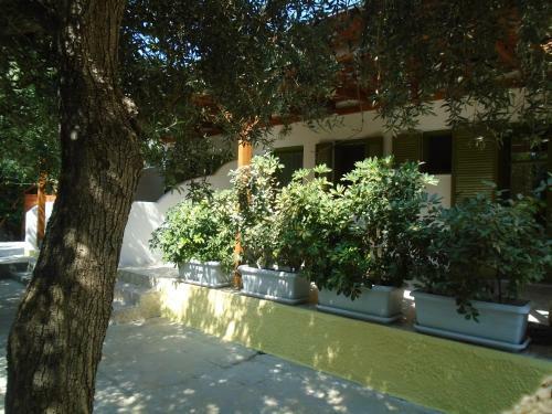 Leros Eleonas Apartments