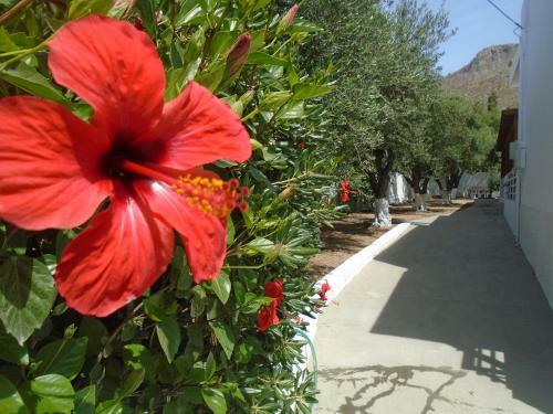 Leros Eleonas Apartments