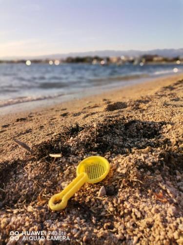 Apartman Zvon?ica