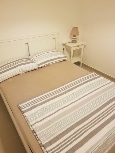 Apartments Anton I Martina