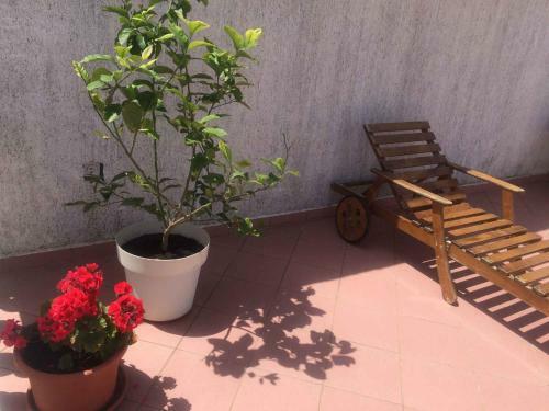 Apartment Vrsi Mulo/zadar Riviera 33568
