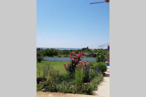 Apartamento Ferienwohnung Jelka