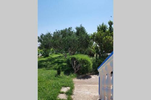 Apartamento Ferienwohnung Jelka