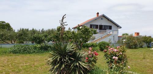 Apartamento Ferienwohnung Jelka
