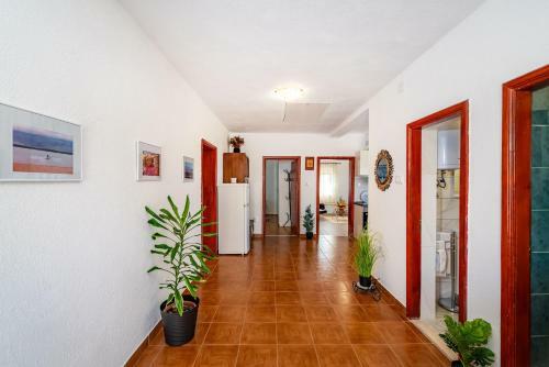 Apartamento Palma