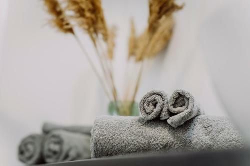 Hostal N�das Center Home Badacsonytomaj