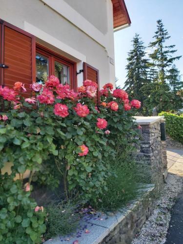 Apartamento Vill? Villa