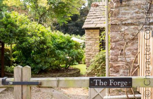 The Forge