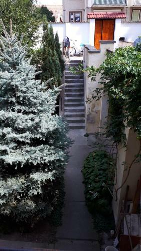 Centrum- Apartmanok, Apartman Baja
