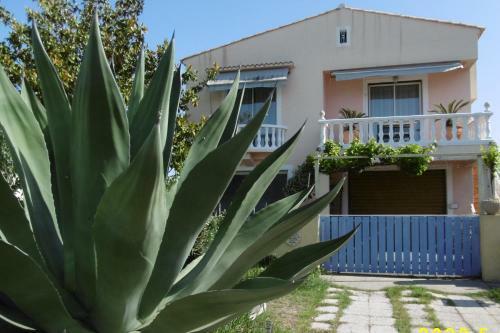 Apartamento Studio Dans Villa Climatis�