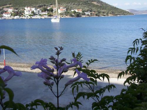 Agroturismo Blue Dreams