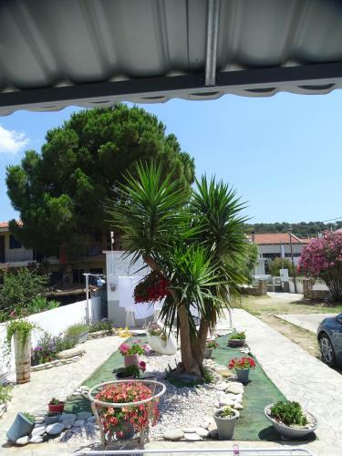 Agroturismo Blue Dreams