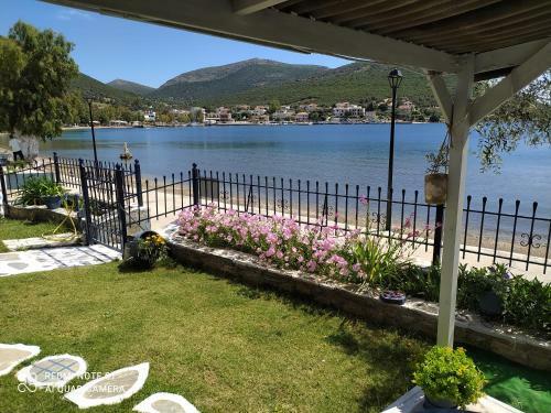 Agroturismo Blue Dreams