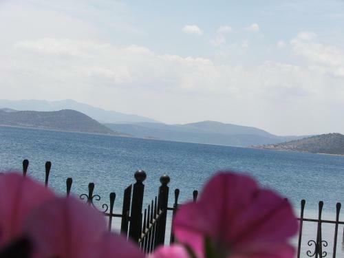 Agroturismo Blue Dreams