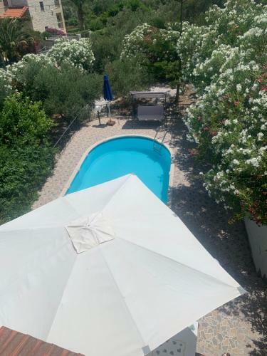 Villa The Olive Grove