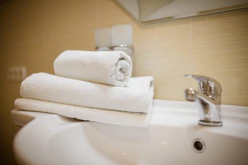 Vila Muntenia Hotel