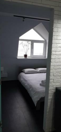 Modern Apartment In The Center Of Town