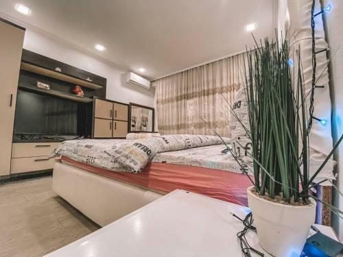 Sunny Luxury Apartment