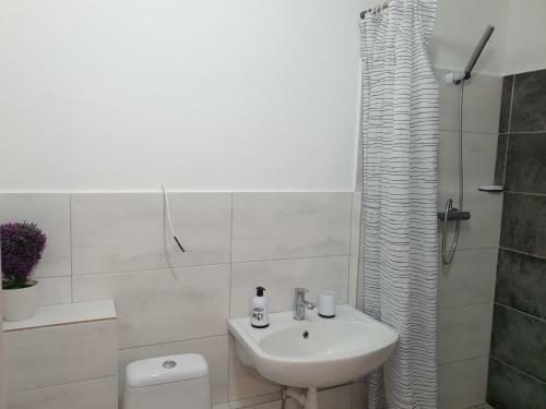 Apartamento Excellent Studio In The Center