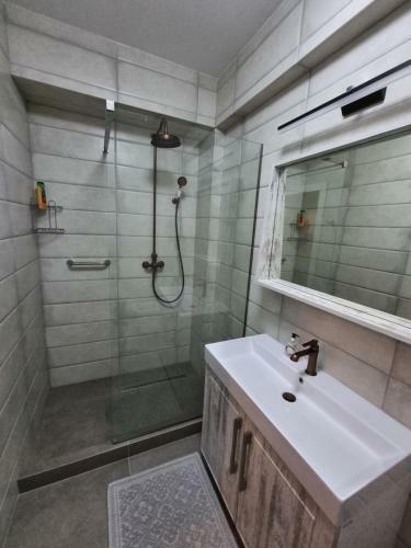 Business Class Apartments In The City Center
