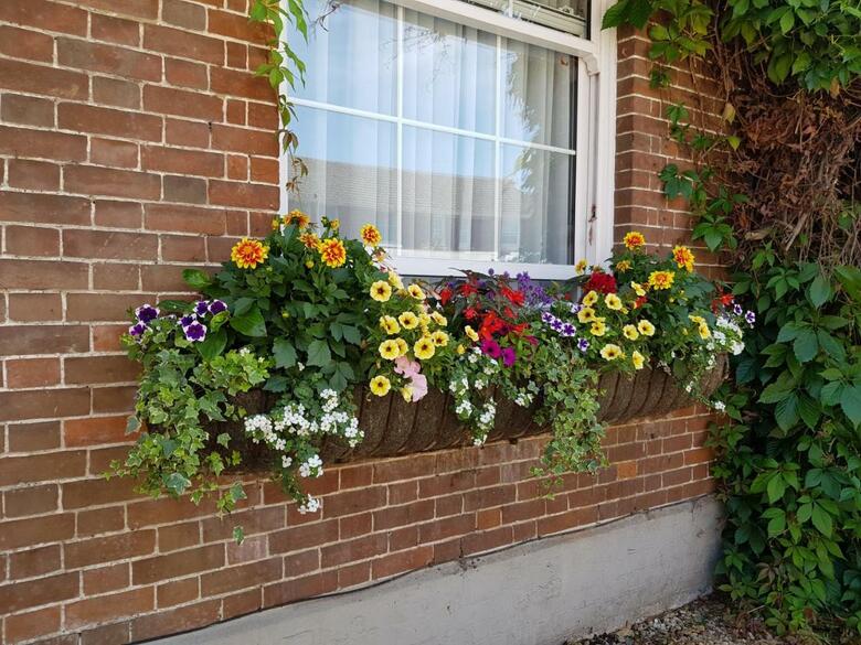 Hostal Fairlawn House