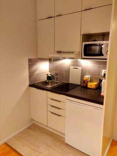 Apartamentos Studio In Helsinki City Center
