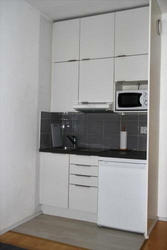 Apartamentos Studio In Helsinki City Center