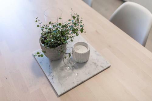 Apartamento Comfortable City Home