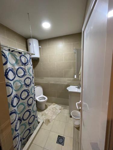 Apartman 11