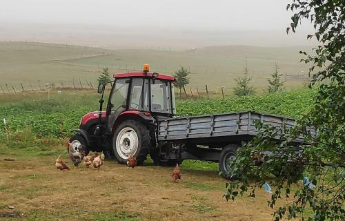 Hostal Organic Family Farm