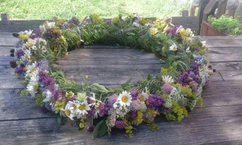 Hostal Organic Family Farm