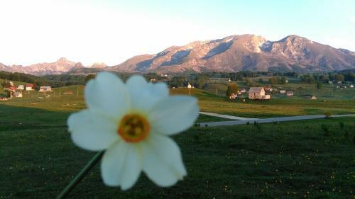 Hostal Organic Family Farm