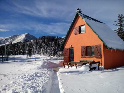 Orange House In Nature