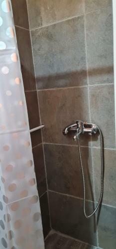 Hostal Razvr?je Co